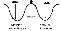 attractor landscape gif month above figure