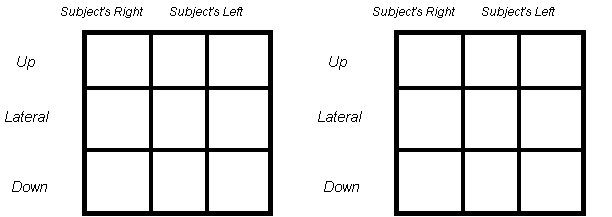 Nlp Eye Chart